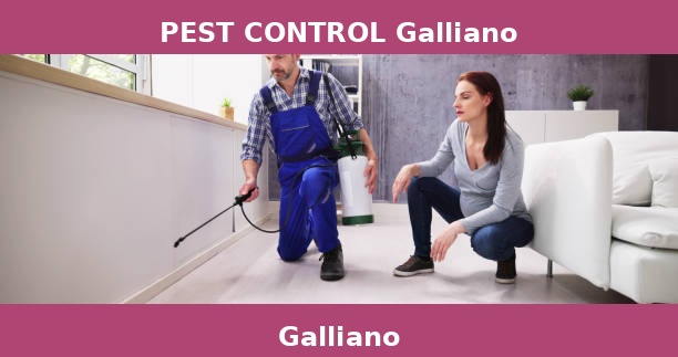 PEST CONTROL Galliano